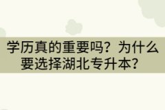 學(xué)歷真的重要嗎？為什么要選擇湖北專升本？