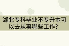 2021年湖北?？飘厴I(yè)不專升本可以去從事哪些工作？