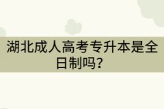 湖北成考專升本是全日制嗎？全日制和非全日制的區(qū)別是什么？