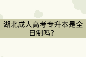 湖北成考專升本是全日制嗎？全日制和非全日制的區(qū)別是什么？