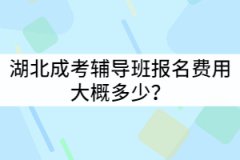 湖北成考輔導(dǎo)班報(bào)名費(fèi)用大概多少？