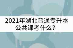 2021年湖北普通專升本公共課考什么？