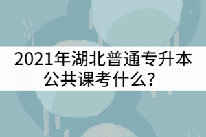 2021年湖北普通專升本公共課考什么？