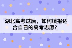 湖北高考過后，如何填報(bào)適合自己的高考志愿？