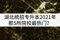 湖北統(tǒng)招專升本2021年那5所院校最熱門？