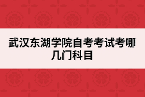 武漢東湖學(xué)院自考考試考哪幾門(mén)科目