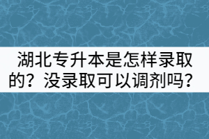 湖北專升本是怎樣進行錄取的？沒錄取成功可以調(diào)劑嗎？