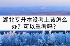 湖北專升本沒考上該怎么辦？可以重考嗎？