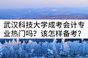 武漢科技大學(xué)成考會計專業(yè)熱門嗎？該怎樣備考？