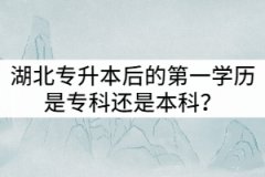 湖北專升本后的第一學(xué)歷是專科還是本科？值得報考嗎？
