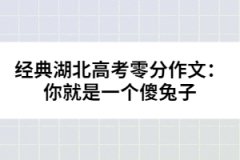 經典湖北高考零分作文：你就是一個傻兔子