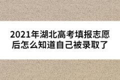 2021年湖北高考填報志愿后怎么知道自己被錄取了