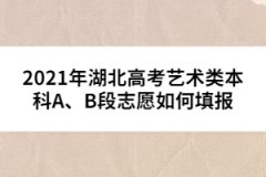 2021年湖北高考藝術(shù)類本科A、B段志愿如何填報(bào)