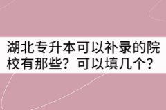 湖北專升本可以補(bǔ)錄的院校有那些？可以填幾個？