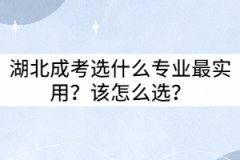 湖北成考選什么專業(yè)最實用？該怎么選？