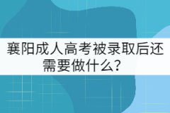 襄陽(yáng)成人高考被錄取后還需要做什么？