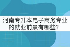 河南專(zhuān)升本電子商務(wù)專(zhuān)業(yè)的就業(yè)前景有哪些？