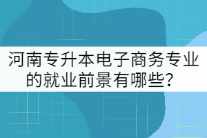 河南專升本電子商務專業(yè)的就業(yè)前景有哪些？