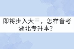 即將步入大三，怎樣備考湖北專升本？