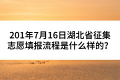 201年7月16日湖北省征集志愿填報流程是什么樣的？