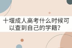 十堰成人高考什么時候可以查到自己的學(xué)籍？