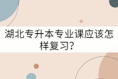湖北專升本專業(yè)課應(yīng)該怎樣復(fù)習(xí)？
