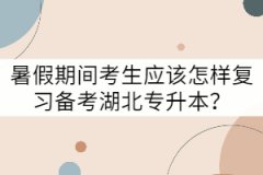 暑假期間考生應(yīng)該怎樣復(fù)習(xí)備考湖北專升本？