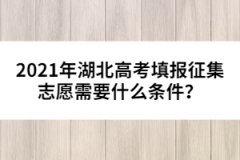 2021年湖北高考填報征集志愿需要什么條件？