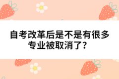 自考改革后是不是有很多專業(yè)被取消了？