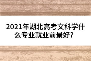 2021年湖北高考文科學什么專業(yè)就業(yè)前景好？