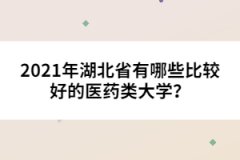 2021年湖北省有哪些比較好的醫(yī)藥類大學(xué)？