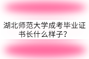 湖北師范大學(xué)成考畢業(yè)證書長什么樣子？