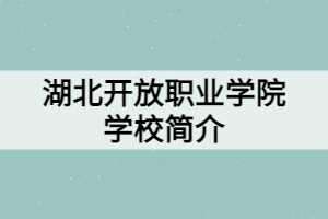 湖北開放職業(yè)學院學校簡介