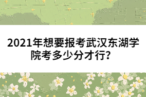 2021年想要報考武漢東湖學院考多少分才行？