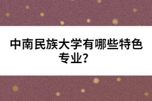 中南民族大學(xué)有哪些特色專業(yè)?