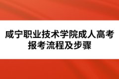 咸寧職業(yè)技術(shù)學(xué)院成人高考報(bào)考流程及步驟