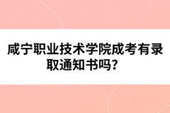咸寧職業(yè)技術(shù)學(xué)院成考有錄取通知書(shū)嗎？