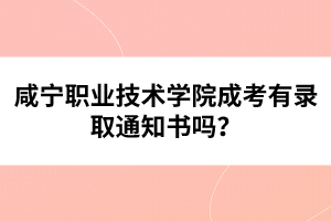 咸寧職業(yè)技術學院成考有錄取通知書嗎？