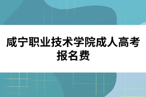咸寧職業(yè)技術(shù)學(xué)院成人高考報名費
