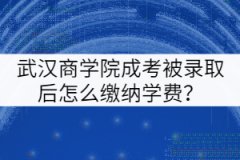 武漢商學(xué)院成考被錄取后怎么繳納學(xué)費？