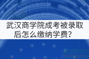 武漢商學(xué)院成考被錄取后怎么繳納學(xué)費？