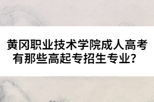 黃岡職業(yè)技術學院成人高考有那些高起專招生專業(yè)？
