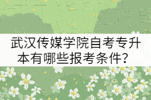 武漢傳媒學院自考專升本有哪些報考條件？