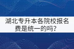 湖北專升本各院校報(bào)名費(fèi)是統(tǒng)一的嗎？