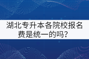 湖北專升本各院校的報名費是統(tǒng)一的嗎？