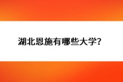 湖北恩施有哪些大學(xué)？