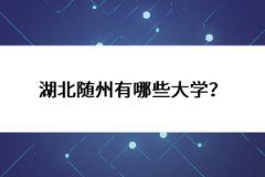 湖北隨州有哪些大學(xué)？