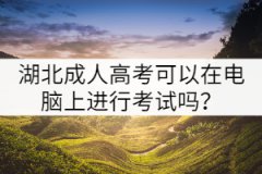 湖北成人高考可以在電腦上進(jìn)行考試嗎？
