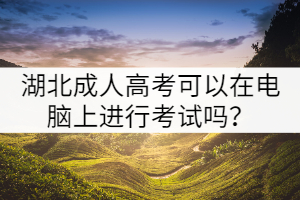 湖北成人高考可以在電腦上進(jìn)行考試嗎？