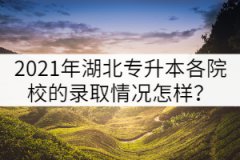 2021年湖北專(zhuān)升本各院校的錄取情況怎樣？